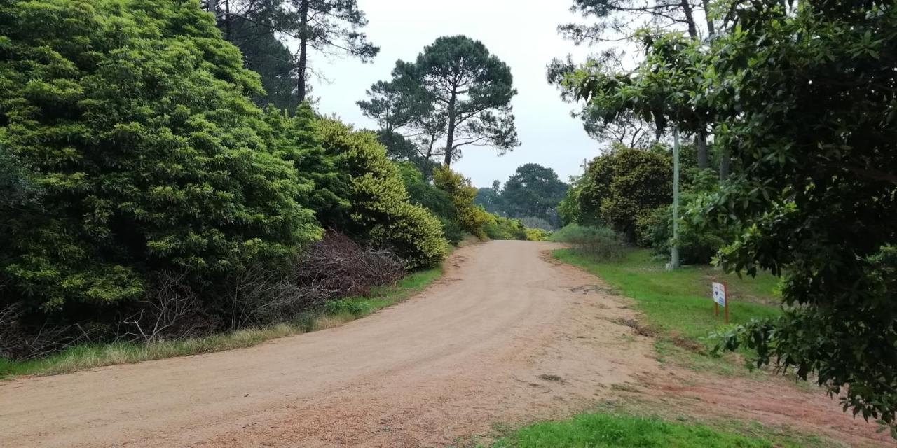 Las Chozas Punta del Este Quarto foto